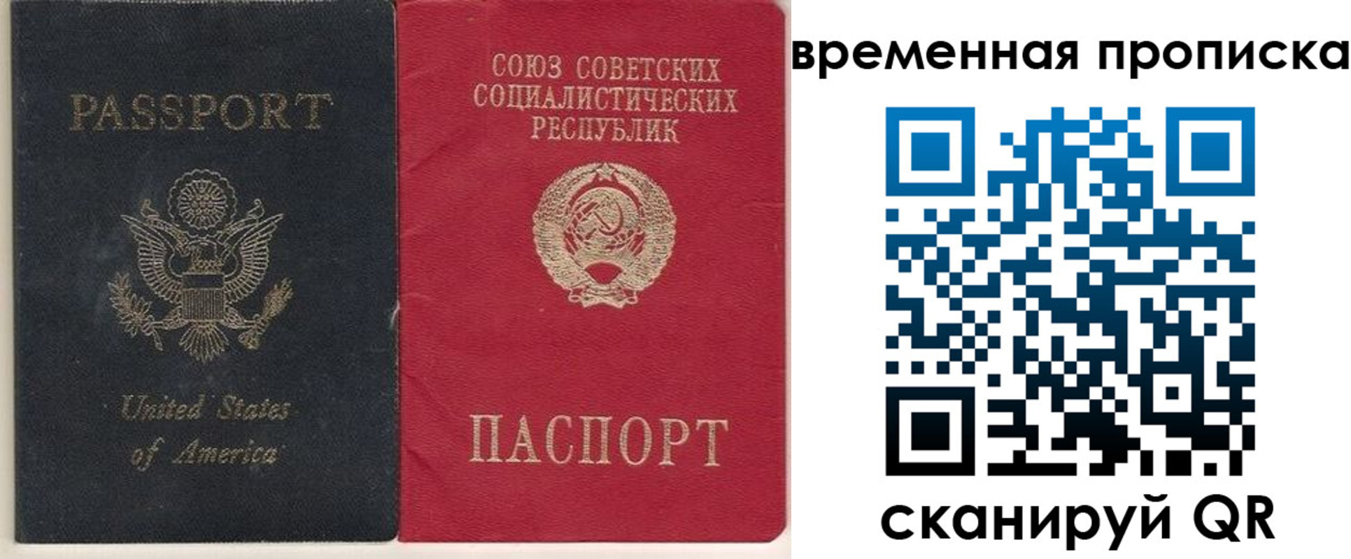 прописка для школы в Суворове
